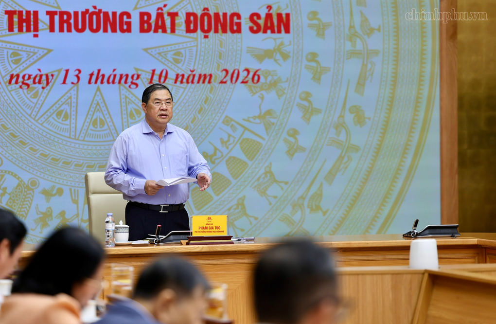 Phó Thủ tướng: Giá nhà vẫn vượt khả năng chi trả của đại đa số người dân - 2